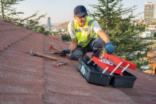 Best Hoarding Cleanup  in Lake Ozark, MO